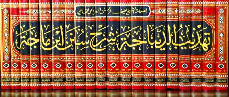 تهذيب الديباجة شرح سنن ابن ماجة20/1