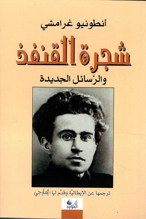 شجرة القنفذ