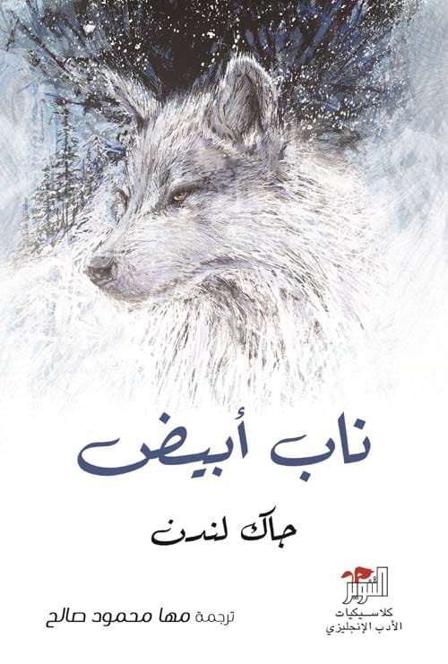 ناب أبيض