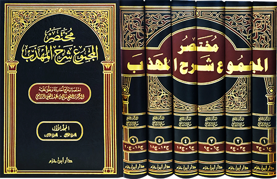 مختصر المجموع شرح المهذب 1/6