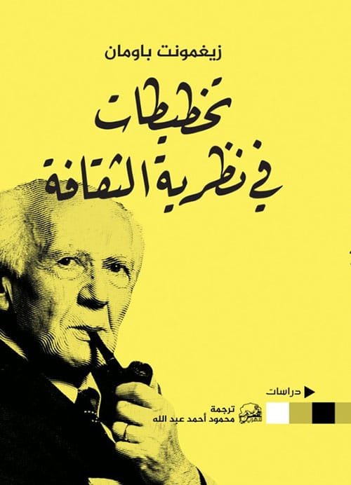 تخطيطات في نظرية الثقافة