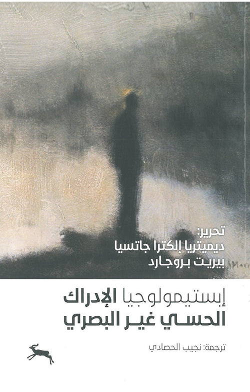 إبستيمولوجيا الإدراك الحسي غير البصري