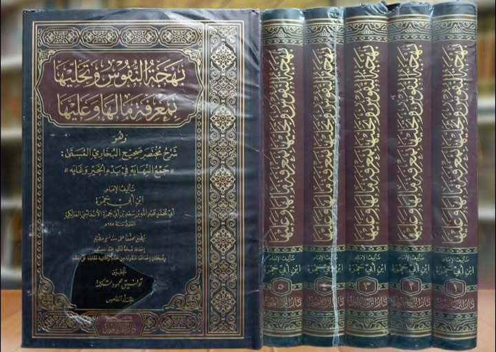 بهجة النفوس وتحليها بمعرفة ما لها وما عليها وهو شرح مختصر صحيح البخاري5/1