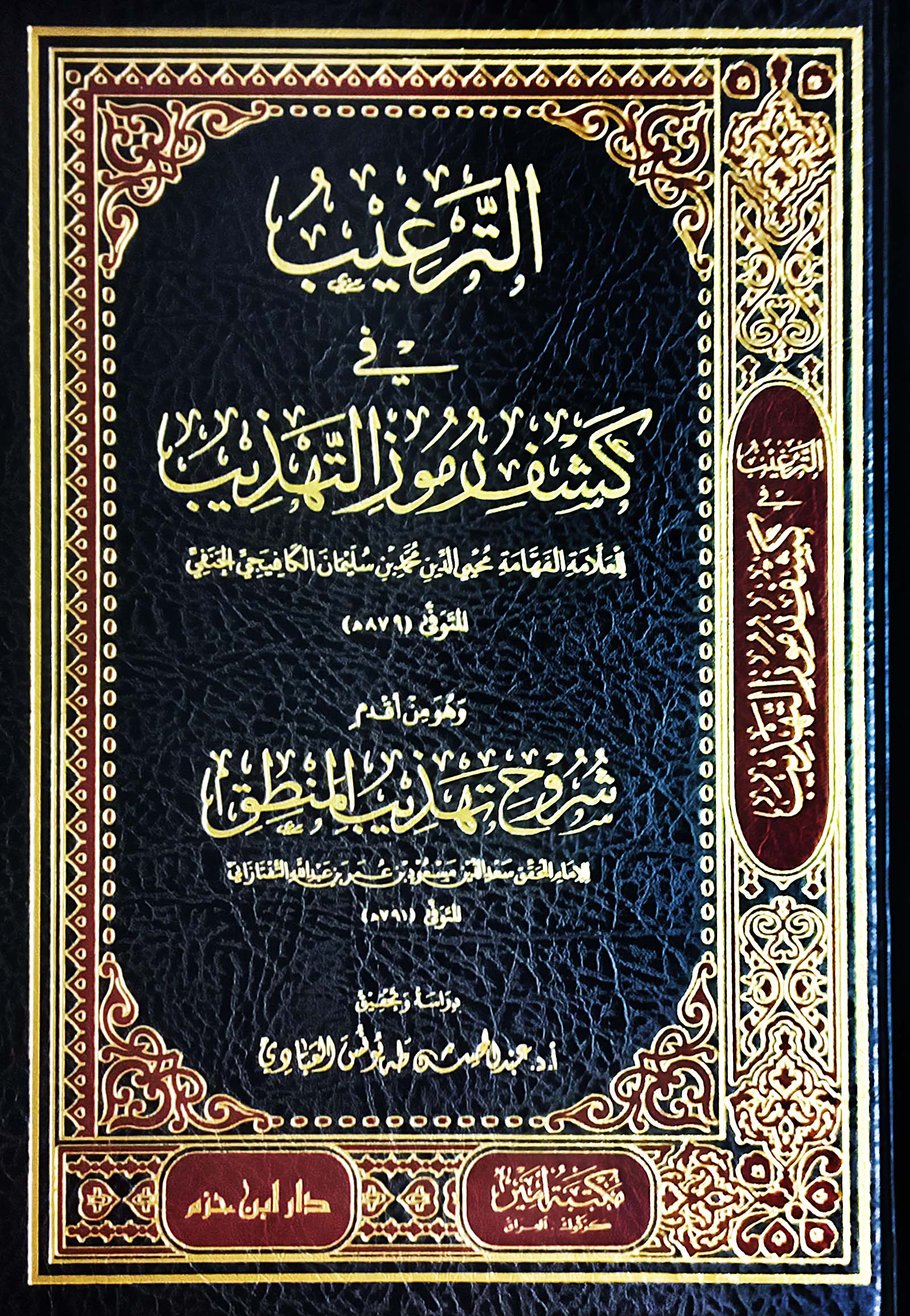 الترغيب في كشف رموز التهذيب