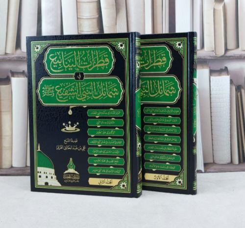 قطرات الينابيع في شمائل النبي الشفيع2/1