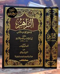 الزاهر في معاني كلمات الناس1/2