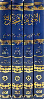 الجواهر الصحاح شرح كتاب الانواع في علوم الحديث لابن الصلاح 1/4