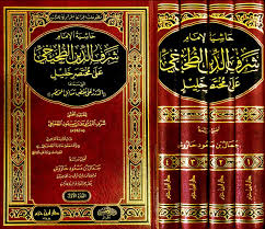 حاشية الامام شرف الدين الطخيخي على مختصر خليل 1 / 4