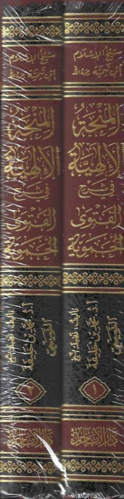 المنحة الالهية في شرح الفتوى الحموية 1/2